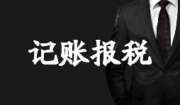 新成立的公司記賬報稅方面有哪些選擇？
