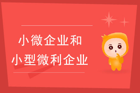 小微企業(yè)和小型微利企業(yè)有什么區(qū)別？