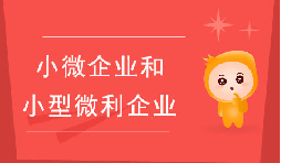 小微企業(yè)和小型微利企業(yè)有什么區(qū)別？